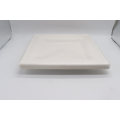 Eco Friendly Disposable Biodegradable Sugarcane Bagasse Square Plate